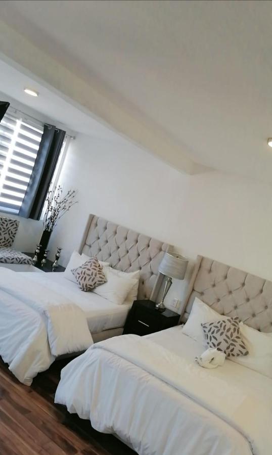 M Hoteles Concepto Μορέλια Εξωτερικό φωτογραφία